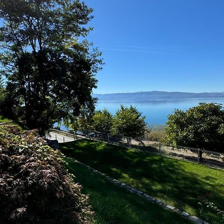 Apartment Villa Balevski オフリド エクステリア 写真